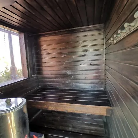 Little Finland - Sauna Boat *